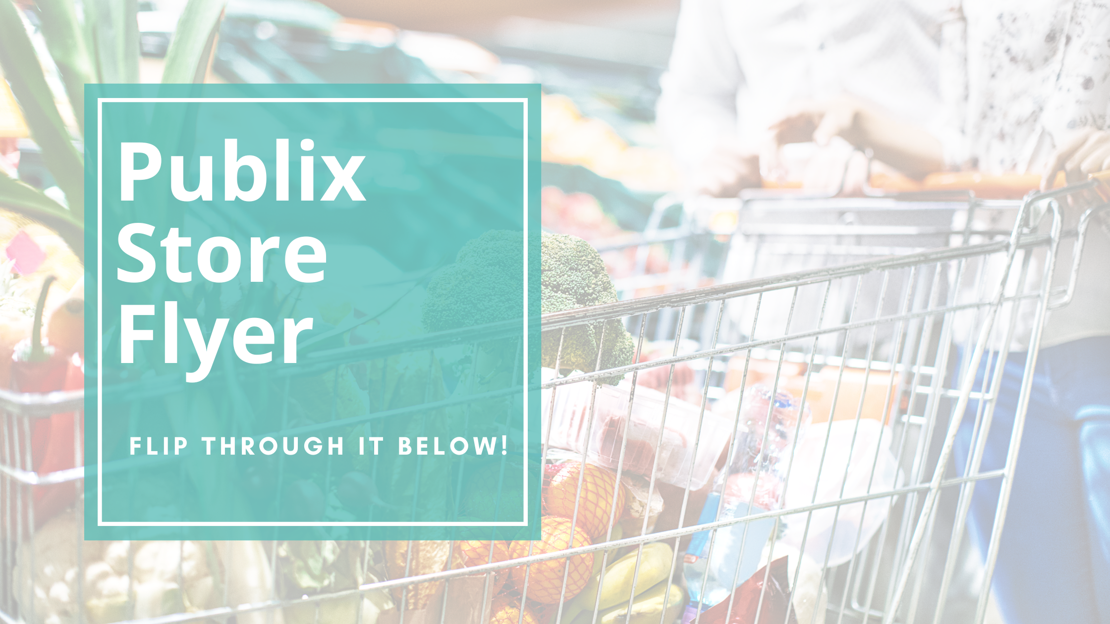 Publix Store Flyer publix weekly circular ad